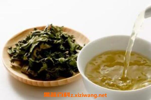 桑叶茶怎么泡 桑叶茶的制作方法