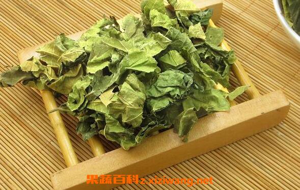 桑叶茶的功效与作用 长期喝桑叶茶的副作用