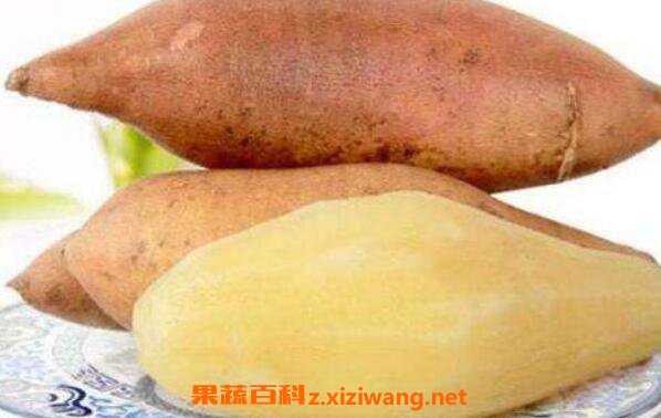 Ů����ѩ�����ĺô��ͻ���