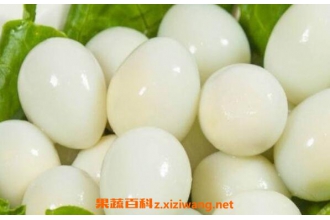 Ů�˳����ȵ��ĺô������