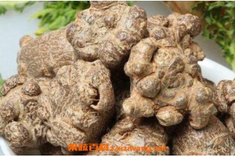 �����ߵĹ�Ч������ �����ߵĽ���