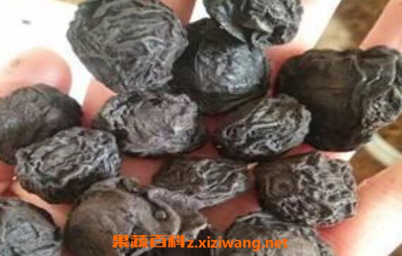 ���֥�Ĺ�Ч������ ���֥�ĸ�����
