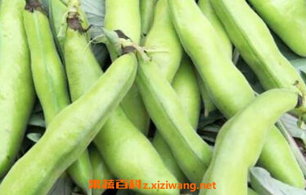 �Һ����Ĺ�Ч������ �Һ�����ҩ�ü�ֵ
