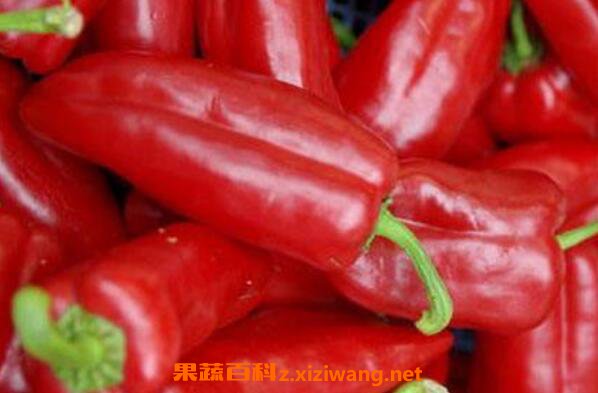 ���ཷ��Ӫ����ֵ �Ժ��ཷ�ĺô�