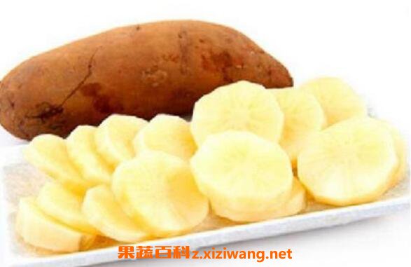 ѩ�����������빦Ч ��ѩ�����ĺô�