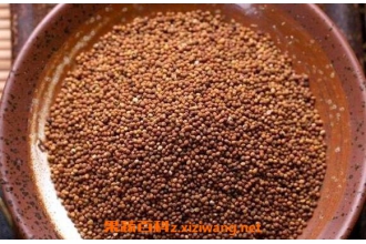 �|˿���ܳ�����ˮ���� �|˿����ˮ�ȷ����̳�