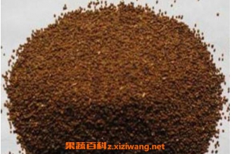 ����˿�ӵĹ�Ч������ ����˿�ӵ�ҩ�ü�ֵ