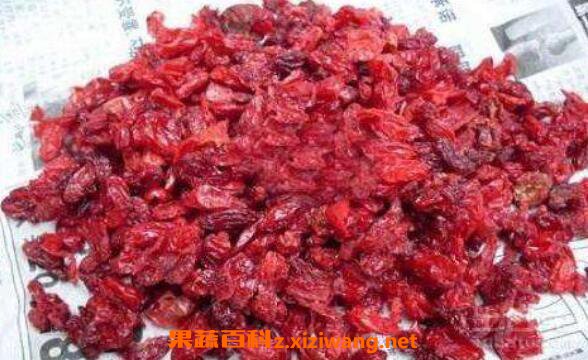 ɽ���Ǻ������ǵ�����