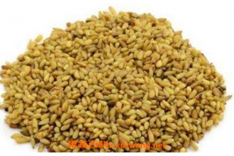 �����ʵĹ�Ч������ �����ʵĽ���