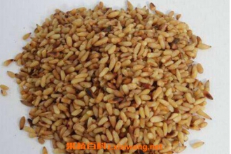 �������������ʵ����� �����ʵĹ�Ч������