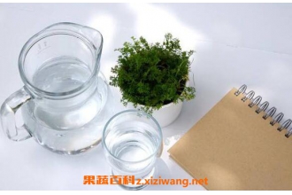 ����ˮ�������빦Ч �ȵ���ˮ�Ļ���