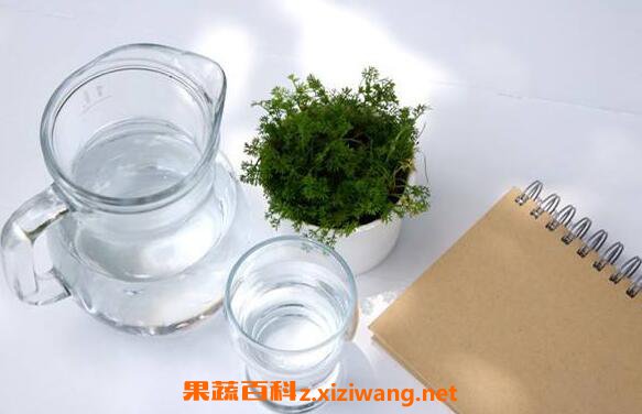 ����ˮ�������빦Ч �ȵ���ˮ�Ļ���