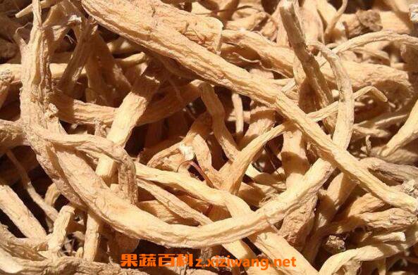 太子参的功效与作用 太子参怎么吃最好