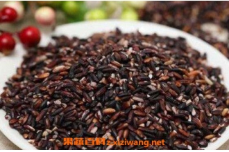 ѪŴ�׺ͺ��׵�����