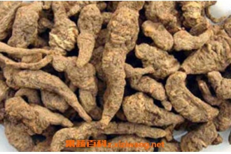 ���ػƵĹ�Ч������ ���ػ���ô��