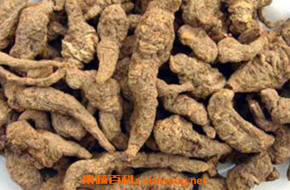 ���ػƵĹ�Ч������ ���ػ���ô��