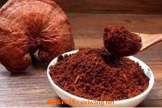 ��֥����ô�Գ�ˮ�� ��֥��ˮ�ȵ��ߴ����