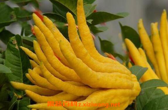 ���ʵķ��ָ���ô�Ժ� ���̵ָĳ����Է�