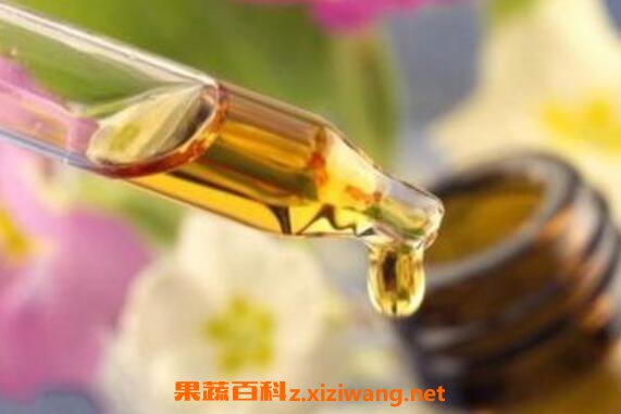 ���ָ̾��͵Ĺ�Ч������ ���ָ̾���ʹ�ý���