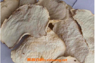 ħ��Ƭ�������빦Ч ��ħ��Ƭ�ĺô�