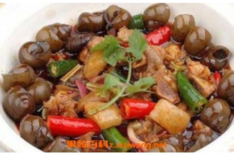 ������Ĺ�Ч������ ��������ʲôӪ����ֵ