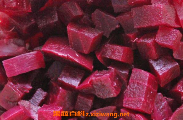 甜菜根 甜菜根的功效与作用 甜菜根的营养价值 果蔬百科全说www Asqxzs Com 甜菜根 甜菜根的功效与作用 甜菜根的营养价值 果蔬百科全说www Asqxzs Com