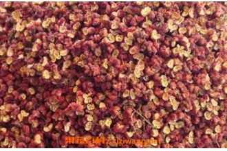 ����ˮ�ݽŵĹ�Ч������ Ů���û����ݽŵĺô�