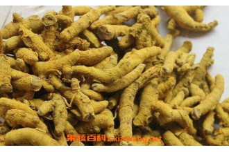 ��������֬�Ĺ�Ч������