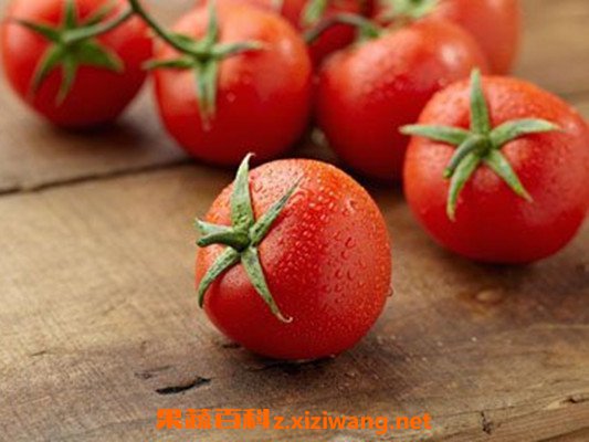 �Ѻ���