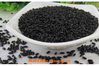 ���׺ͺ�Ŵ�׵����� ���׺ͺ�Ŵ���ĸ���