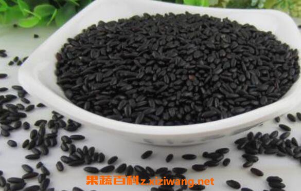 ���׺ͺ�Ŵ�׵����� ���׺ͺ�Ŵ���ĸ���