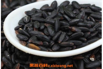 ���׺ͺ��׵����� ���׺ͺ����ĸ���