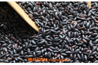 ����ʲô�˲����Գ� �����׵Ľ���