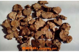 ��ҩ�ڹ�ͷ�Ĺ�Ч������
