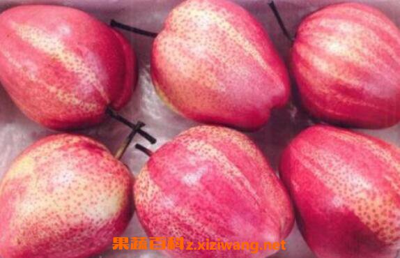 ���ֺ����Ӫ����ֵ����Ч