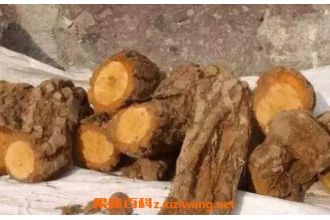 ⨺��Ҹ���ô��ˮ�� ⨺��Ҹ����Գ��ں���