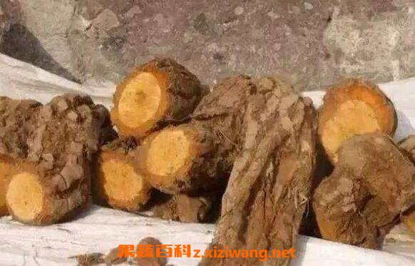⨺��Ҹ���ô��ˮ�� ⨺��Ҹ����Գ��ں���