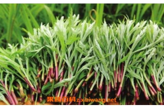 ޼��Ĺ�Ч������ ޼��Ľ���
