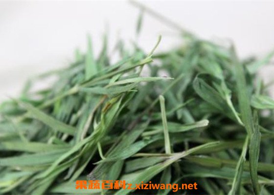 淡竹叶茶