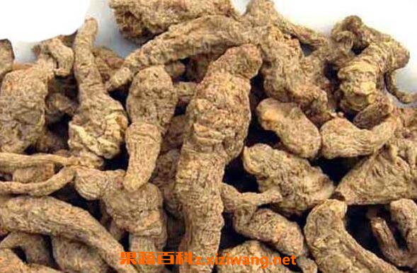 �ػƵĹ�Ч�����ü�ҩ�ü�ֵ