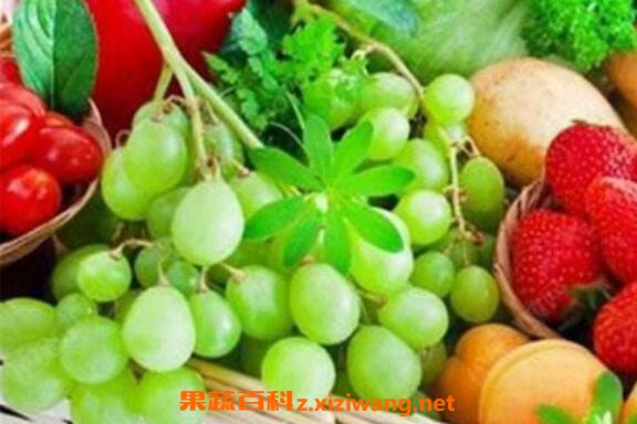 ��ά����a��ʳ������Щ ��Щʳ�ﺬά����a�ḻ