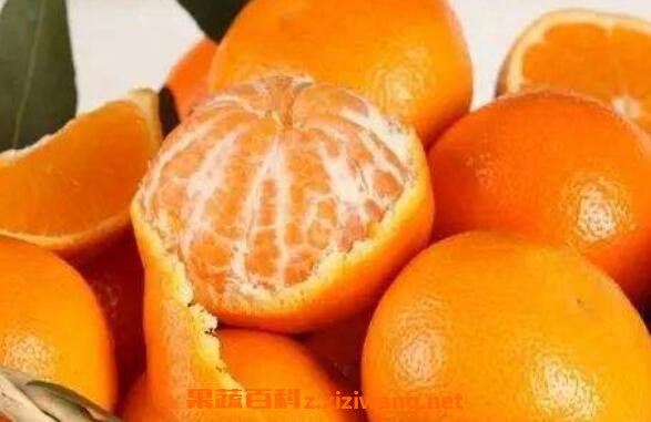 ��ά����c��ʳ�� ��Щʳ�ﺬά����c�ḻ