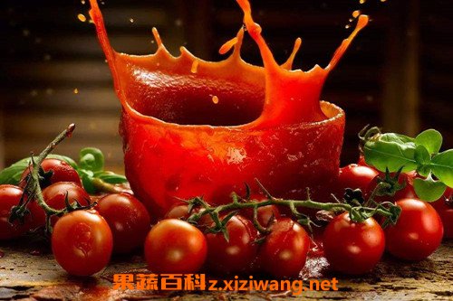 番茄红素
