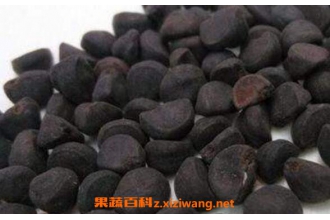 ǣţ�ӵĹ�Ч������ ǣţ�ӵĶ�������