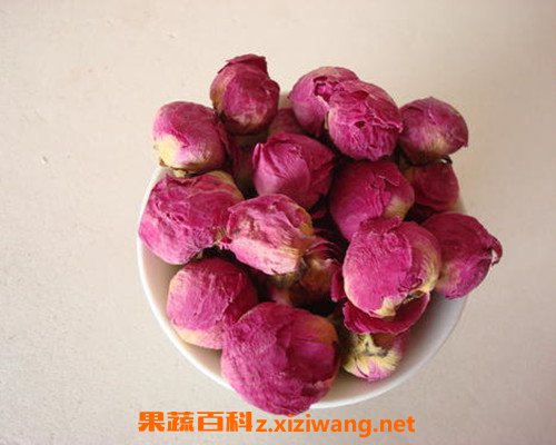 ĵ������