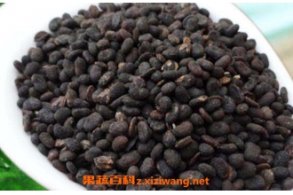 ����֬�Ĺ�Ч������ ����֬��ʳ�÷���