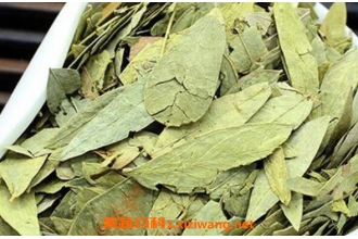 ��кҶ�Ĺ�Ч������ ��кҶ�ĸ�����