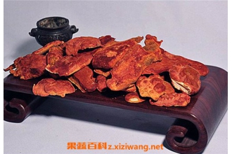 ţ�����Ĺ�Ч������ ţ������ȷ�ķ��÷���