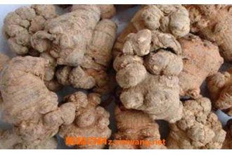 �����ߺ����ߵ����� ���ߵĹ�Ч������