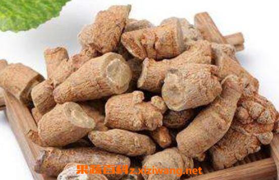 �����ߵĹ�Ч������ �����ߵ�ʳ�÷���